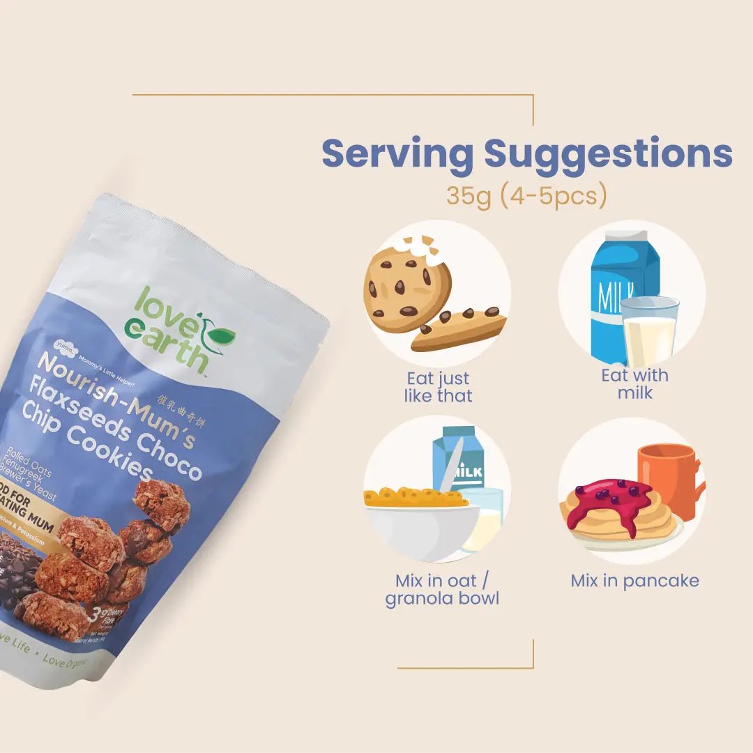 Love Earth Nourish-Mum's Flaxseeds Choco Chip Cookies