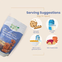 Love Earth Nourish-Mum's Flaxseeds Choco Chip Cookies
