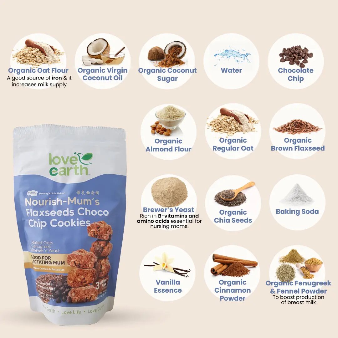 Love Earth Nourish-Mum's Flaxseeds Choco Chip Cookies